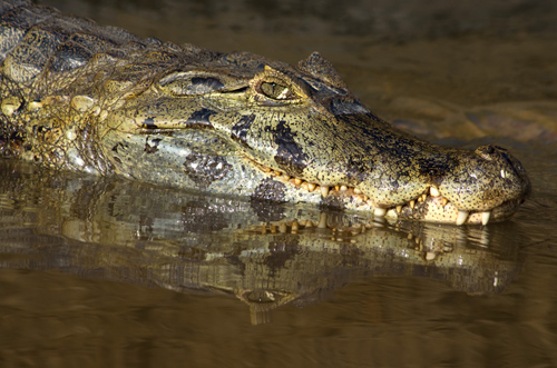 Bolivia August 2013 - Part 2