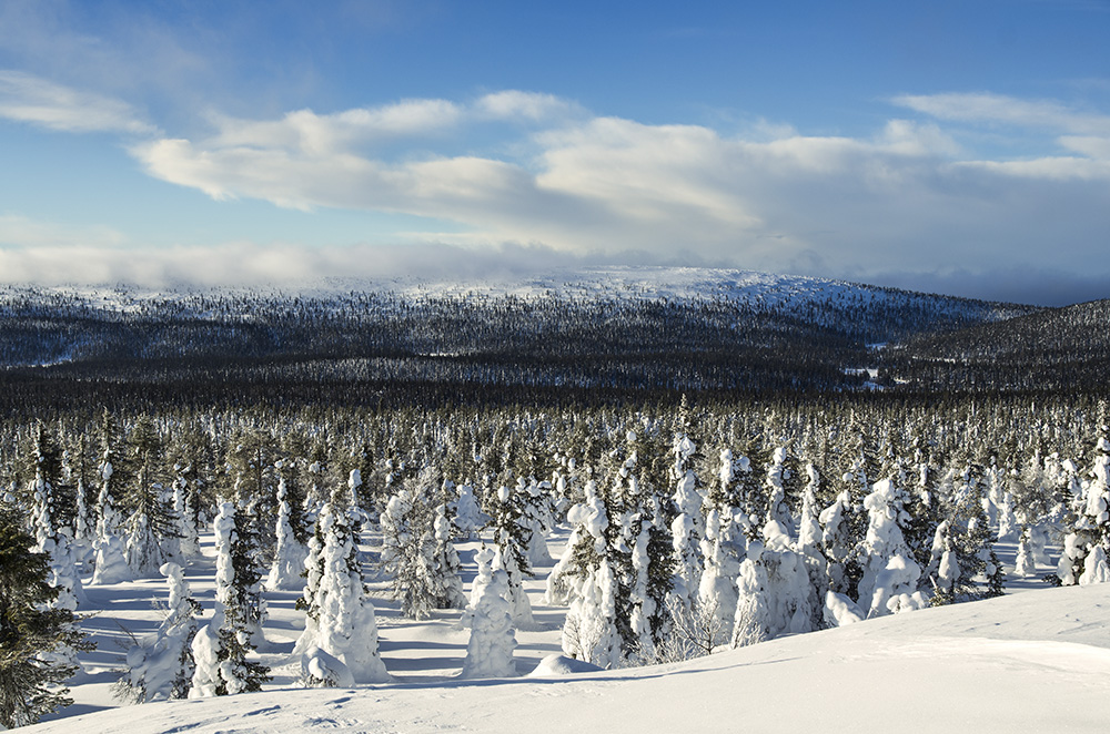 view from Linkukero