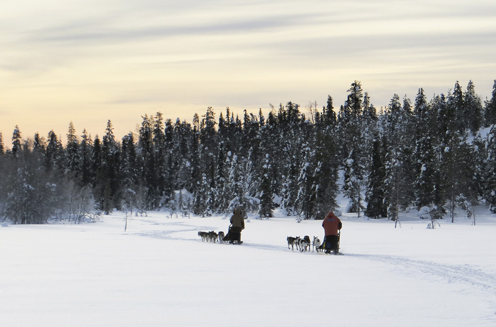 driving through the calm Finnish landscape