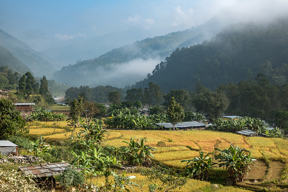 lush vegetation at the start of our trek