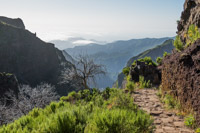 and further in the direction of Pico do Arieiro