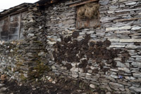 conditions are harsh in Sama Gaun and people insulate their houses with dung