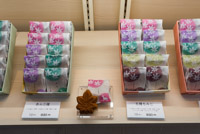 typical for Japan: you can buy nicely packaged souvenirs everywhere. We liked it very much that you can buy local specialties only in the specific regional area.