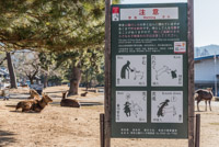 warning signs in Nara :-)