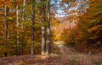 hiking near Platak in amazing autumn colors